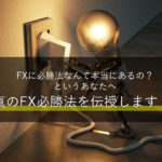 真のFX必勝法を伝授! エネルギー収支をプラスにするという発想